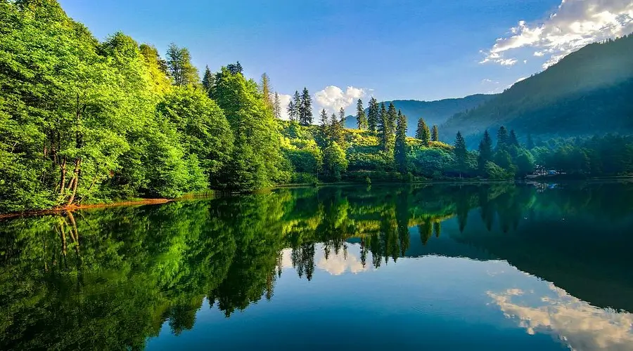 Doğada Yaşam: Modern Dünyadan Doğanın Ritmiyle Uyumlanmaya - Yolda1Adam