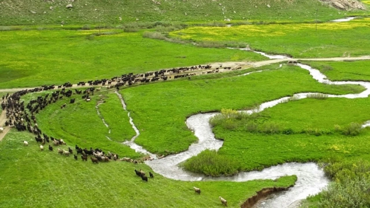 Faraşin Yaylası: Şırnak’ta Bir Doğa Cenneti