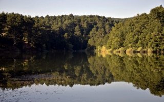 Küçükelmalı Tabiat Parkı: Bilecik’in Doğa İçindeki Saklı Cenneti
