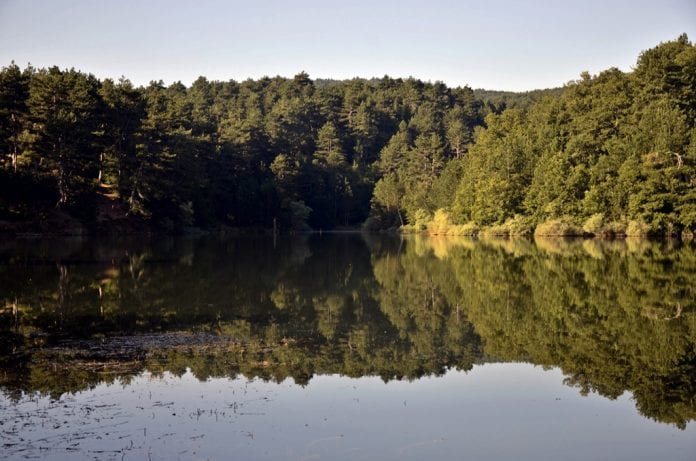 Küçükelmalı Tabiat Parkı: Bilecik’in Doğa İçindeki Saklı Cenneti